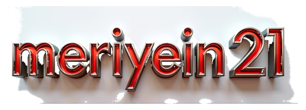 meriyein21 logo